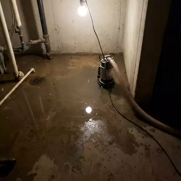 Basement Flood Clean Up in Deerfield Beach, FL