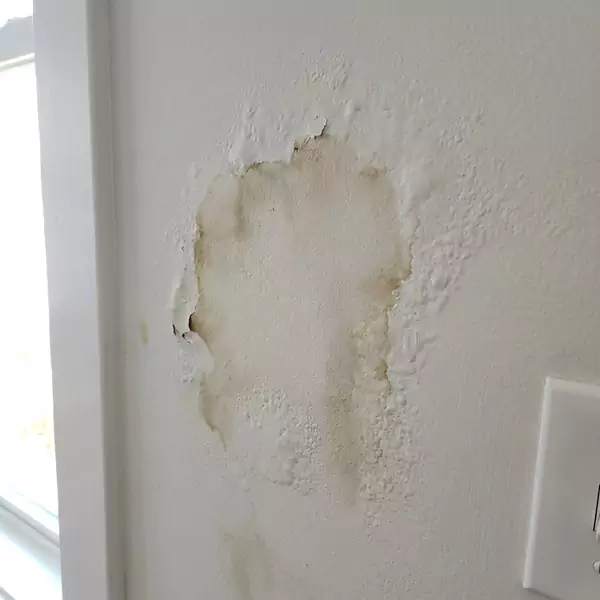 Expert Drywall Water Damage Repair in Deerfield Beach, FL