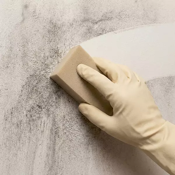 Smoke Cleaning in Deerfield Beach, FL 