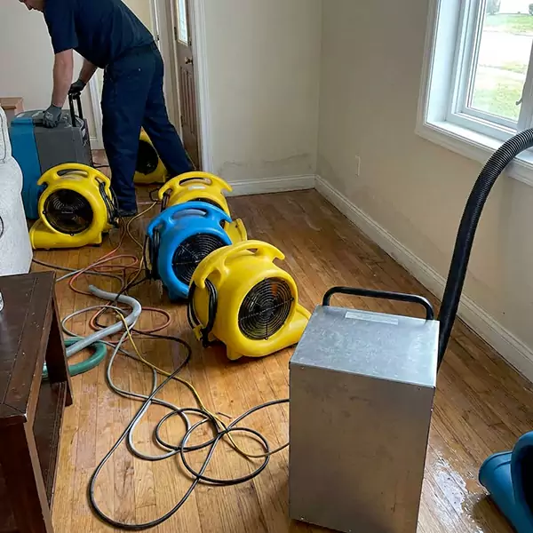 Water Mitigation Services in Deerfield Beach, FL