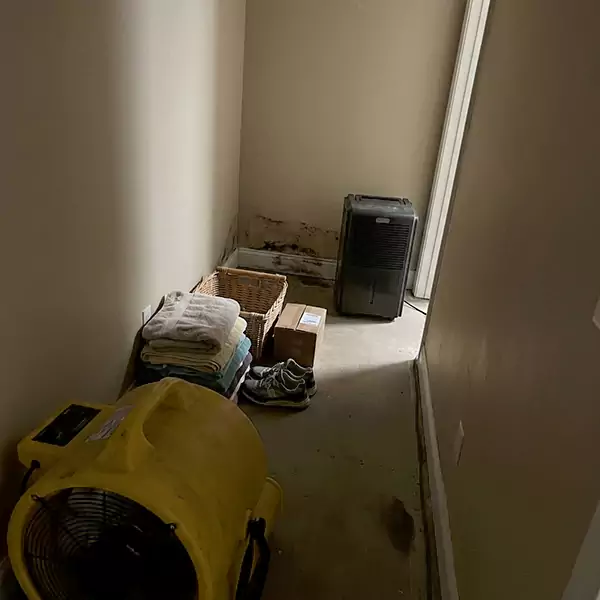 Expert Water Remediation in Deerfield Beach, FL 