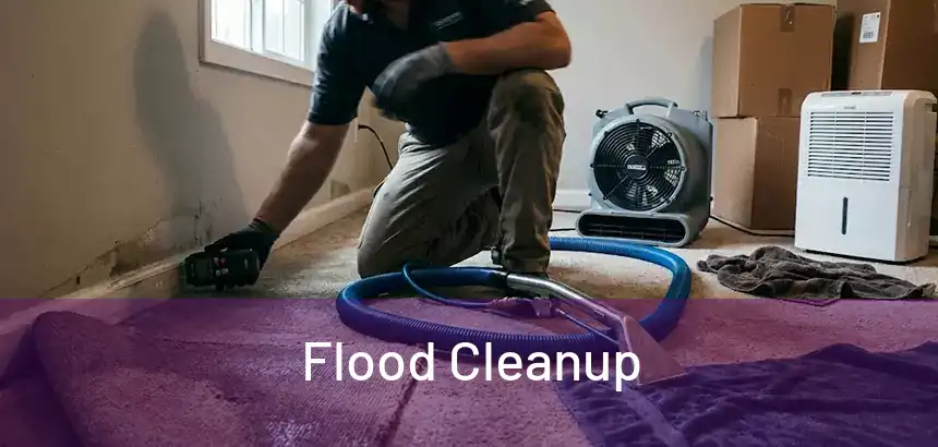  Flood Cleanup 