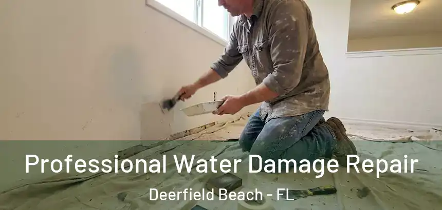 Professional Water Damage Repair Deerfield Beach - FL