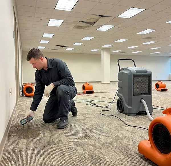 Why Businesses Choose DFB Water Damage for Commercial Water Damage in Deerfield Beach, FL?