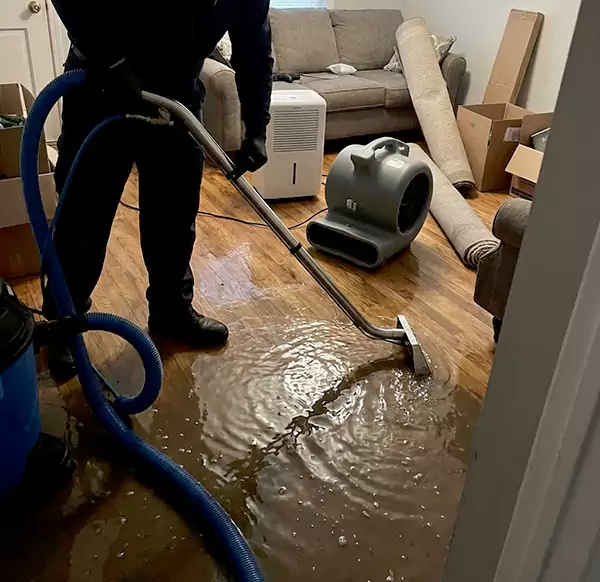 Why Homeowners & Businesses Choose DFB Water Damage for Flood Cleanup in Deerfield Beach, FL?