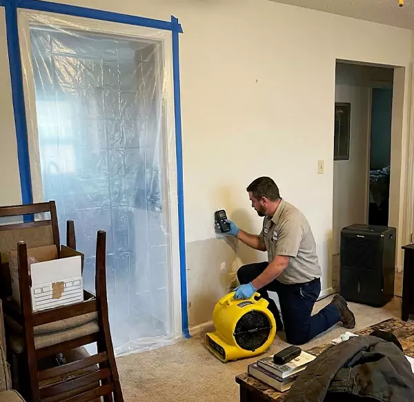 Why Homeowners & Businesses Choose DFB Water Damage for Water Remediation in Deerfield Beach, FL?