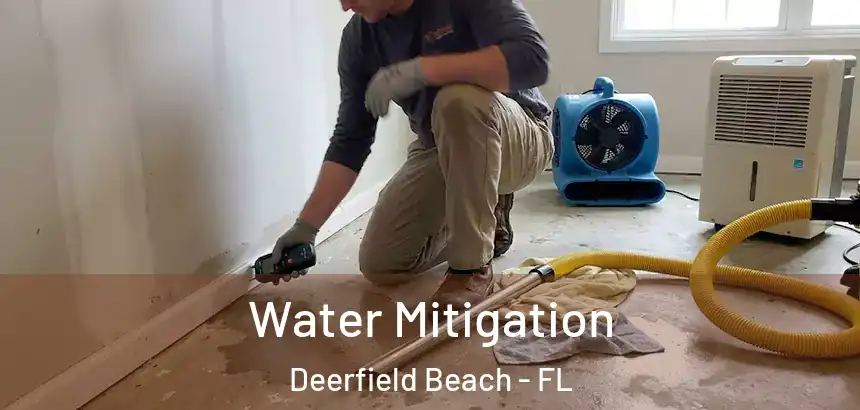 Water Mitigation Deerfield Beach - FL